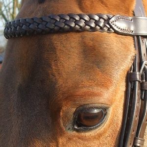Plaited Brow Band 3/4