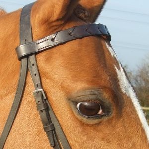 Laced Brow Band