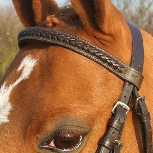Braided Brow