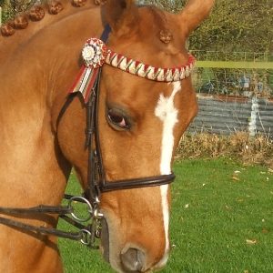 Raised Nose Band