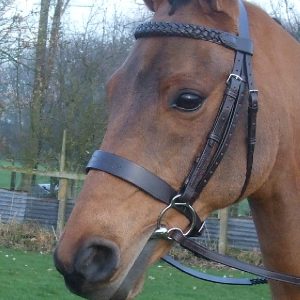 Jerome Nose Band