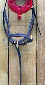 Foal Slip