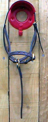 Foal Slip