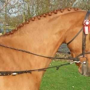 side reins nylon