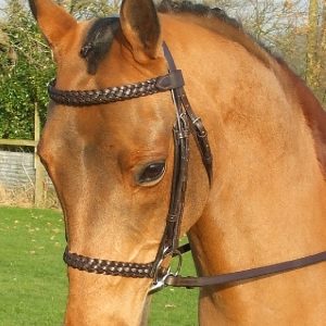 Plaited Nose Band