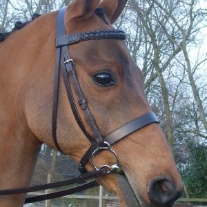 1 Nose Band