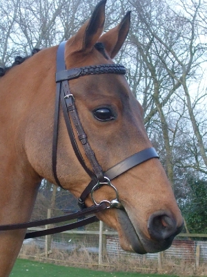 1 Nose Band