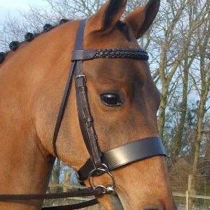 1 3/4 nose band