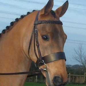 2 Nose Band