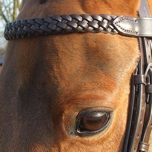 1 Plaited Brow Band