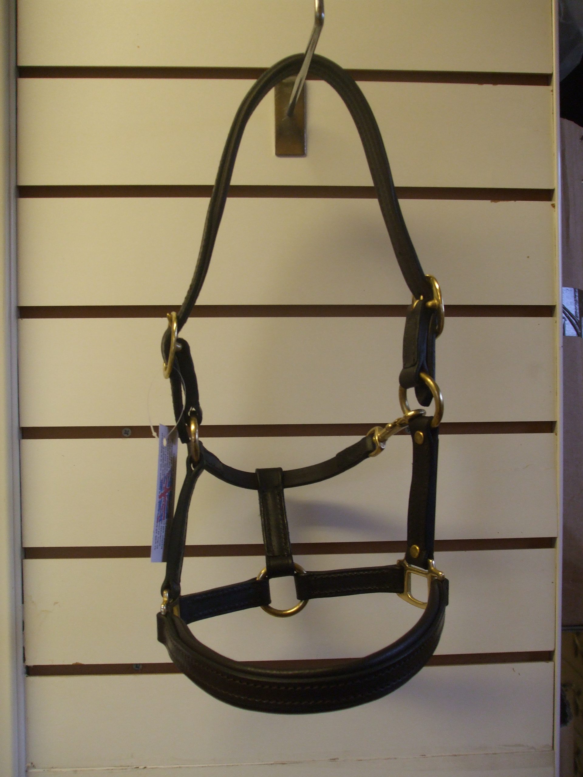 Padded Head Collar - Image 2
