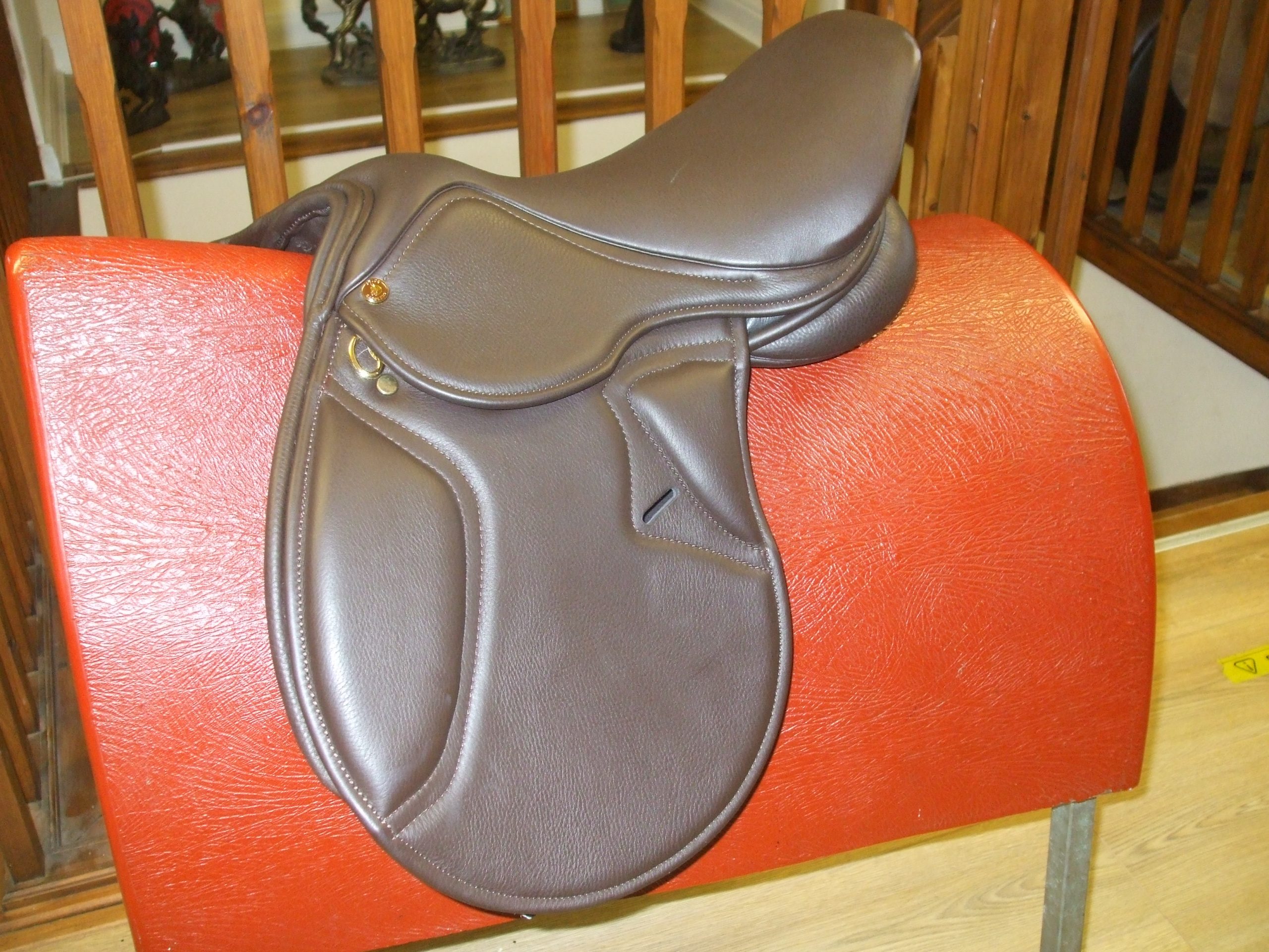 Nathan (pony) - Image 2