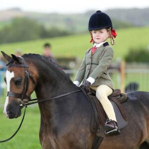 Small Pony Hunter Snaffle Bridle