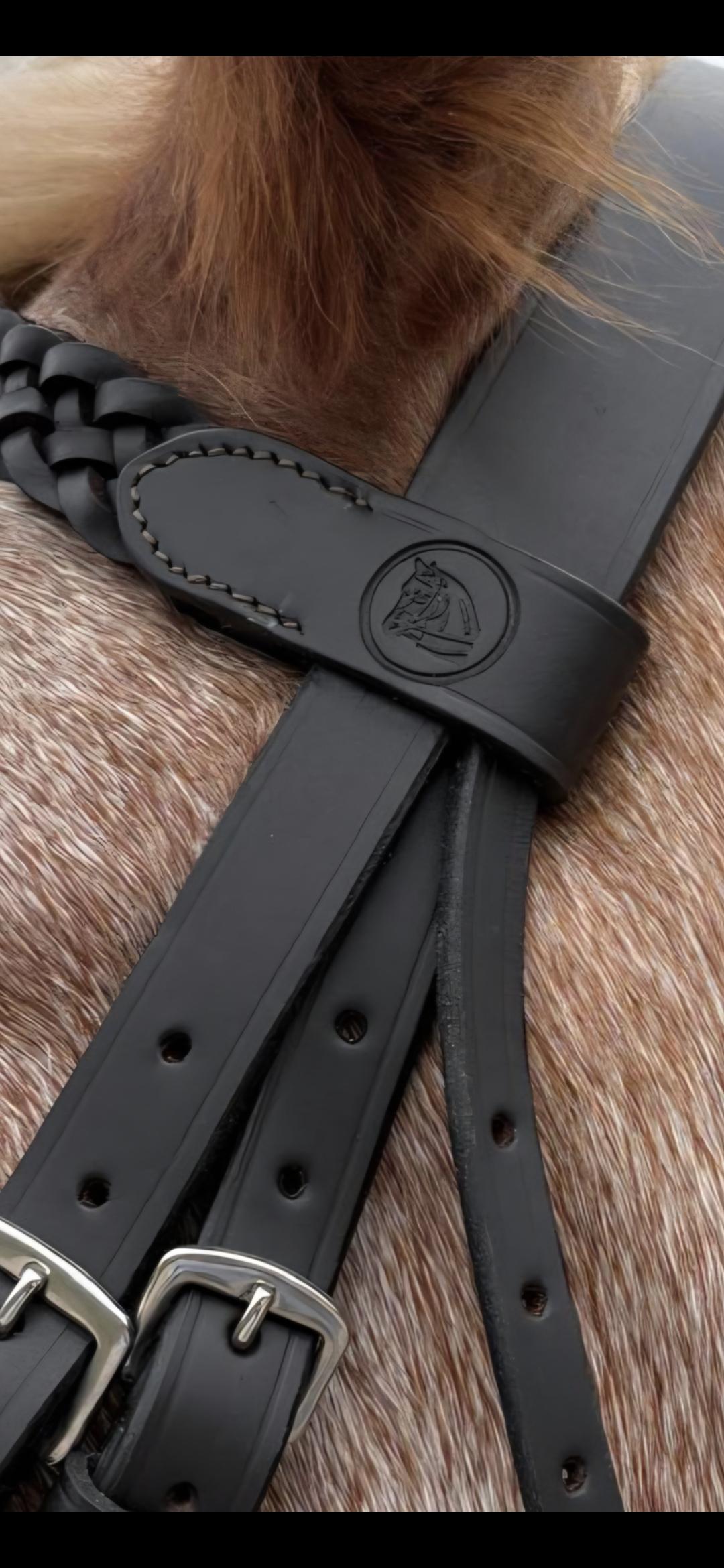 Budget Show Bridle - Image 2